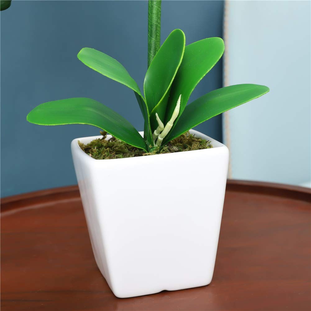 Artificial Silk Phalaenopsis Orchid Flower Plant Pot Navy Blue 15 Inch