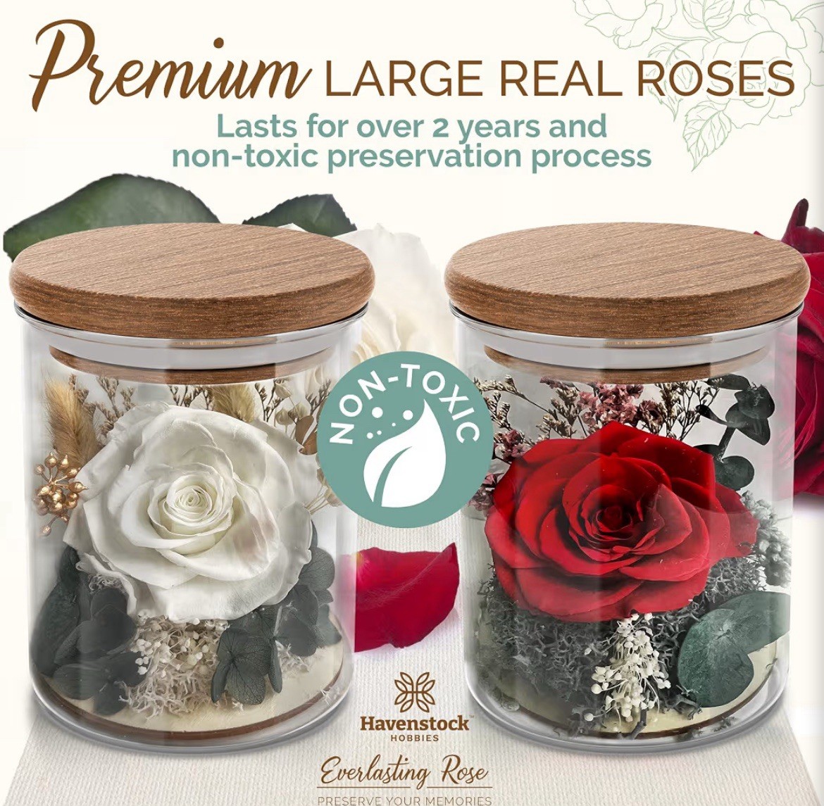 Havenstock Hobbies Everlasting Preserved Red Rose in Glass Jar, Acacia Lid