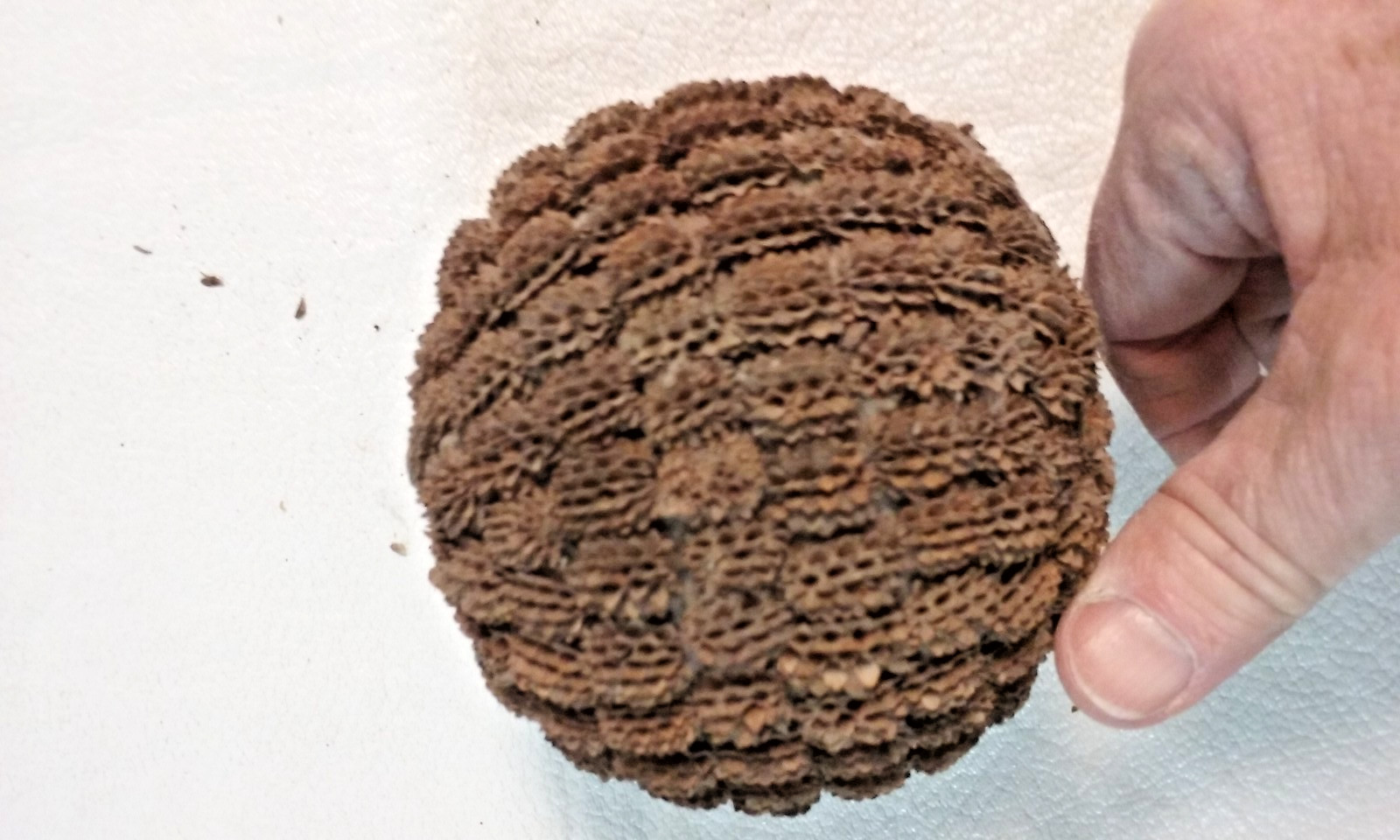 3 Brown Seed Pod Mosaic Decorative Ball Ornaments 5″ to 6″ & 4″ to 5″ wide