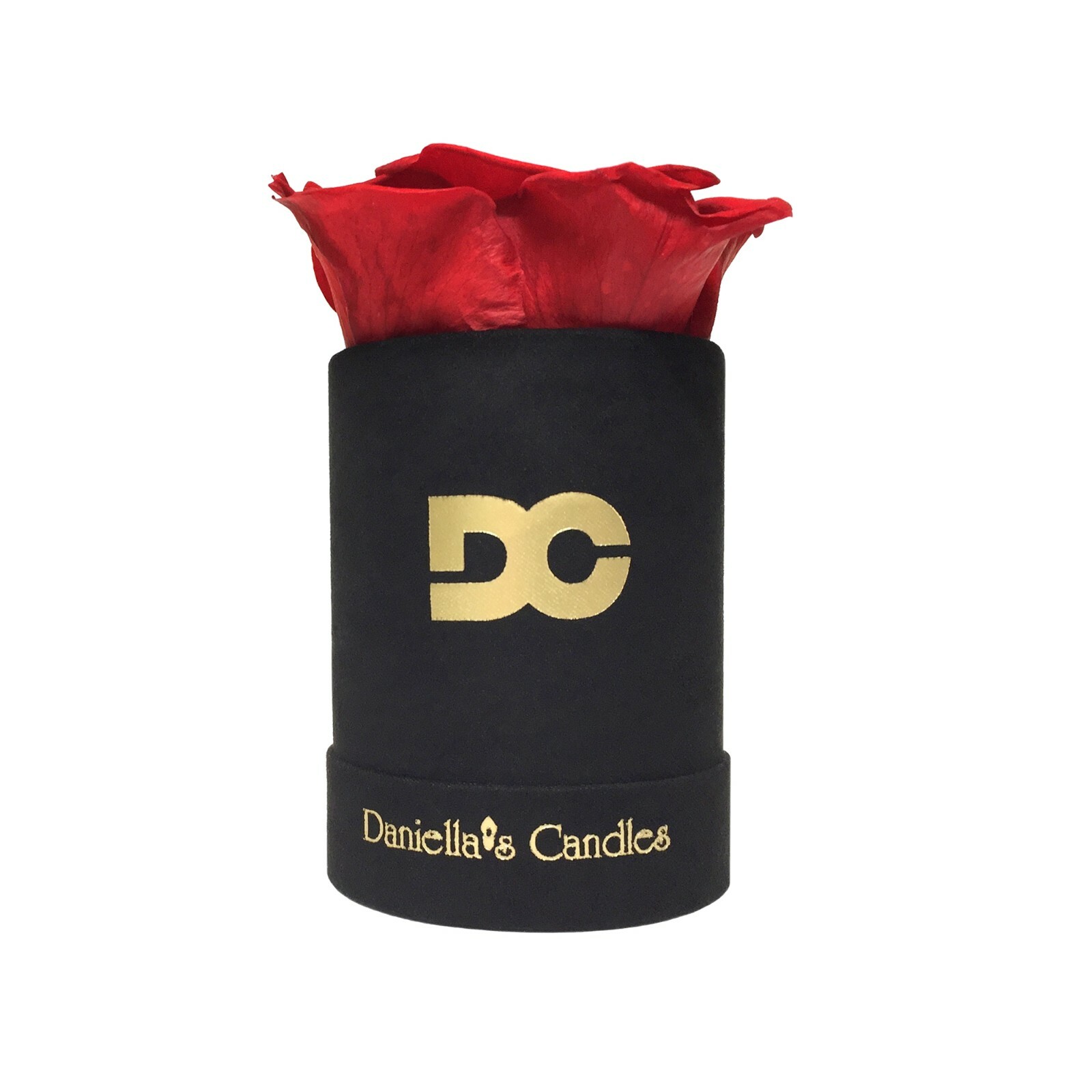Personalized Single Long Lasting Red Rose In Black Suede Box, Long Lasting