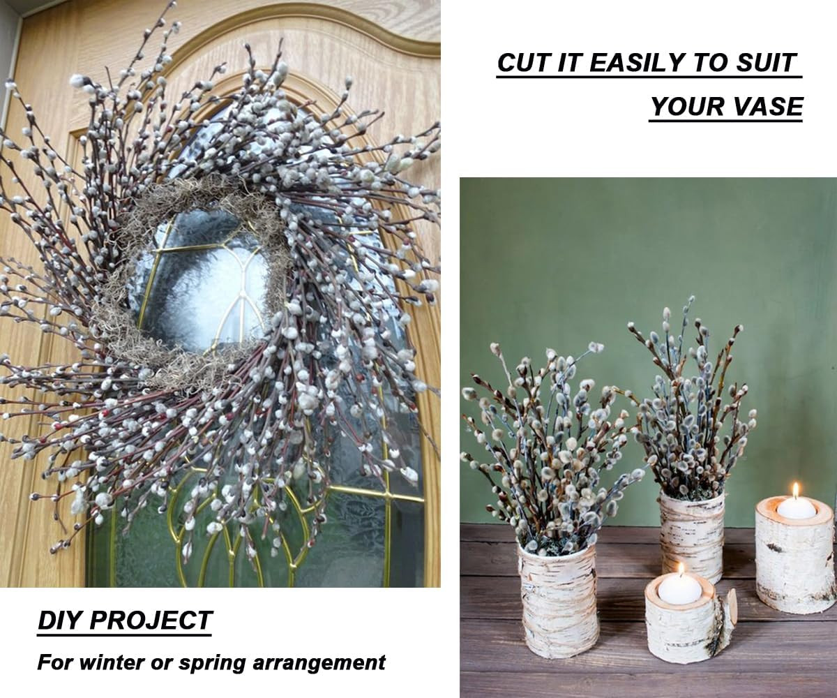 30 Branches Pussy Willow Branches for Vases 23 Inches Natural Dried Pussy Willow