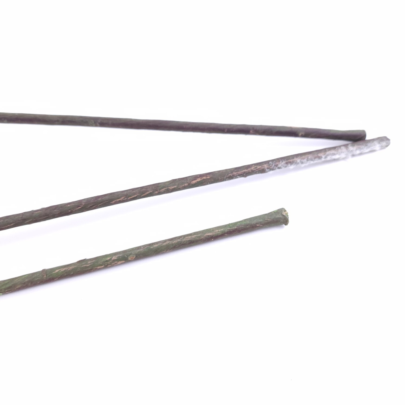 Set of 3 38″ Natural Touch Flocked Pine Stems by Valerie