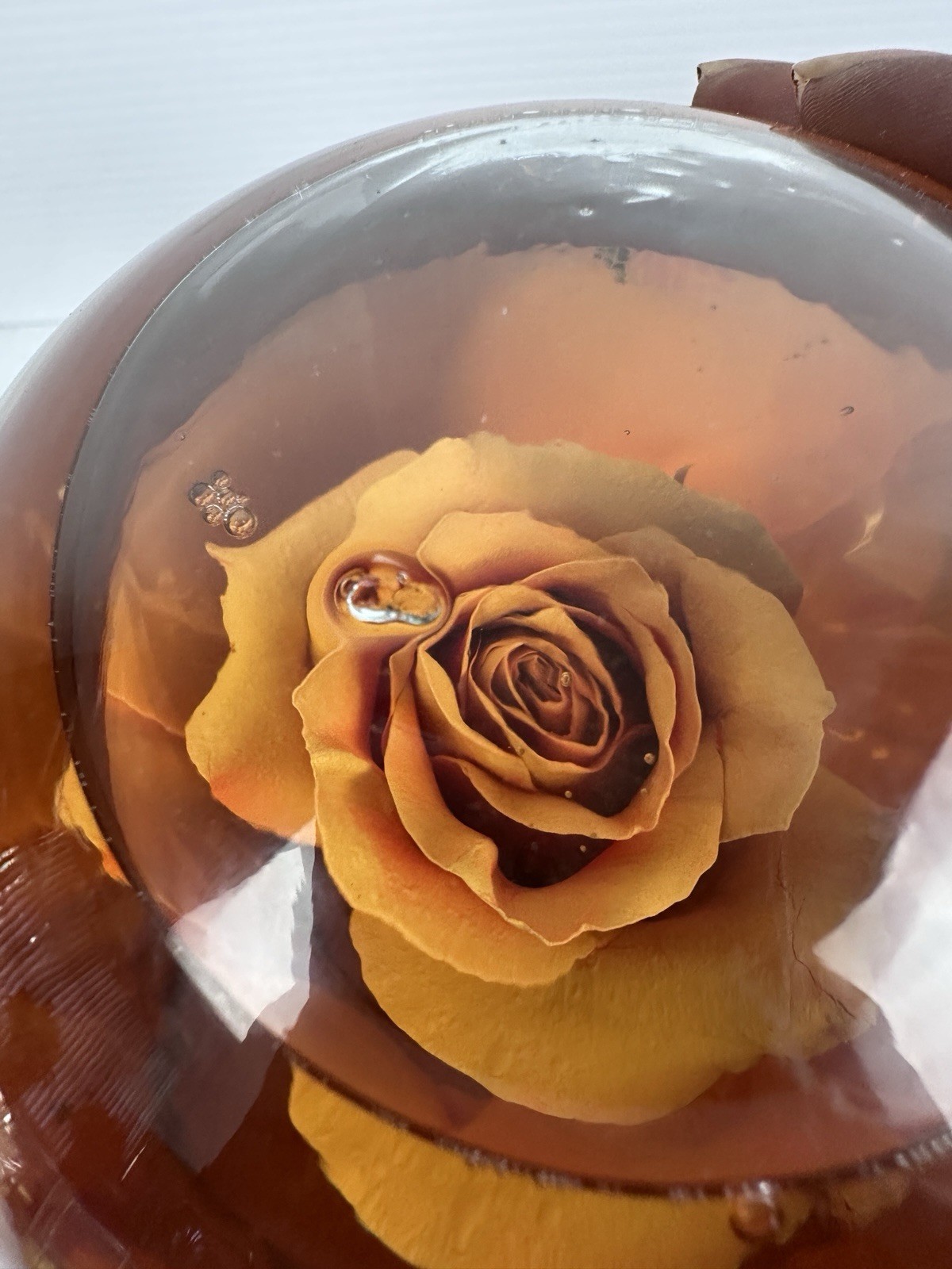 Preserved Rose Glass Dome Water Globe Floral Ornament Decor Flower Display