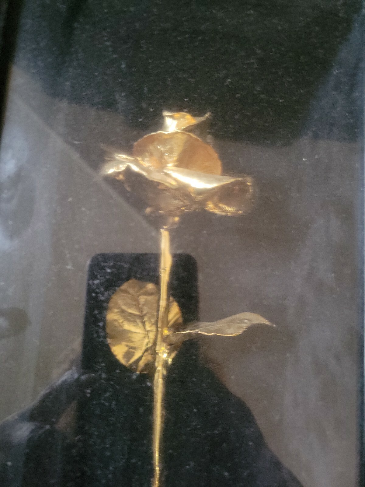 Real 24 Karat Gold Dipped American Rose Valentines mothers day gift