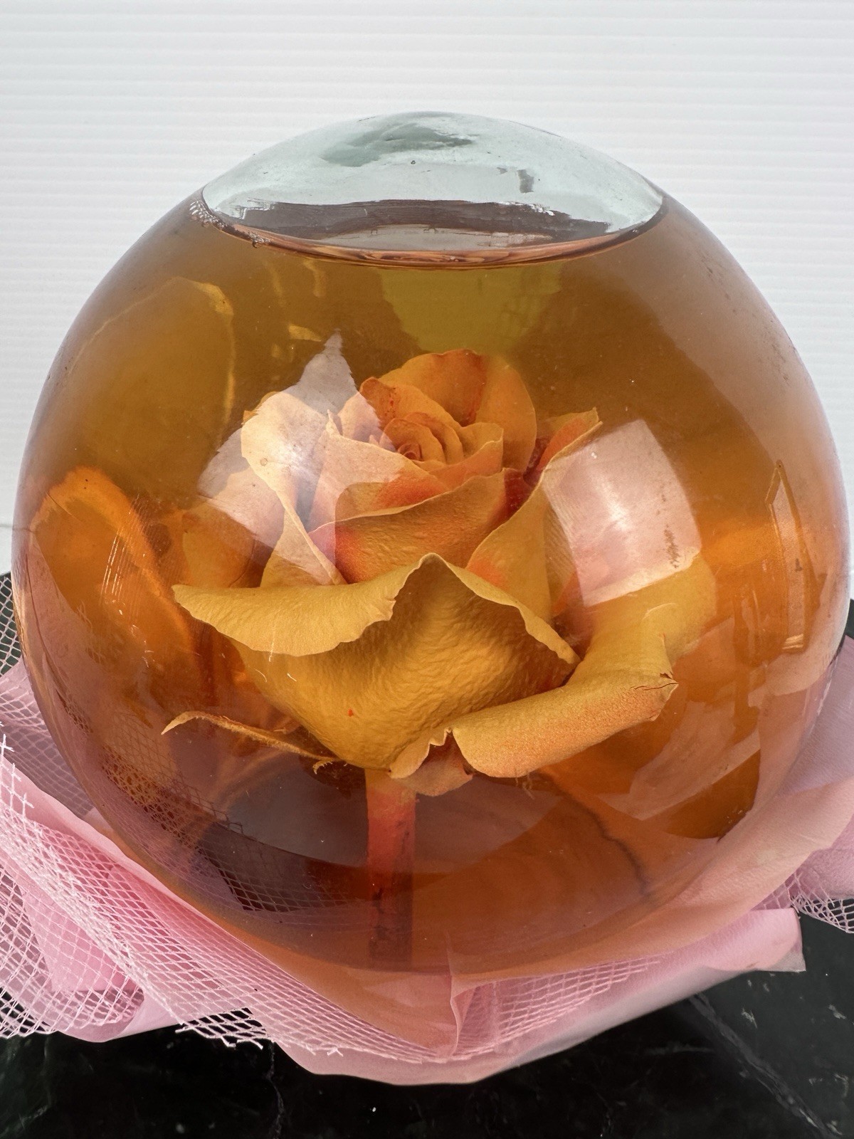 Preserved Rose Glass Dome Water Globe Floral Ornament Decor Flower Display
