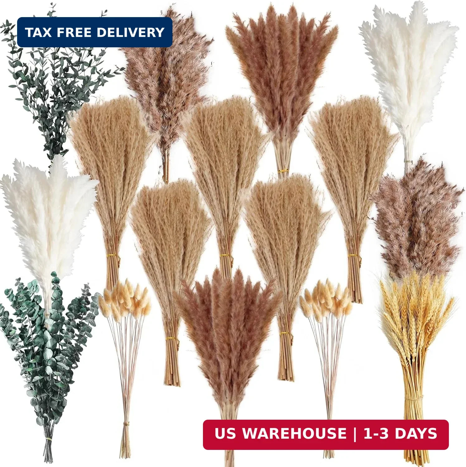 355PCS Dried Pampas Grass Bouquet Set – Dried Eucalyptus, Brown Pampas Grass & W
