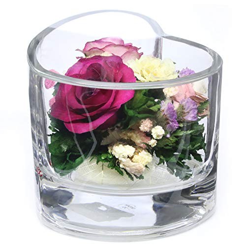 | Long Lasting Roses in Sealed Glass Vase | Preserved Fresh Cut Rose | Unique