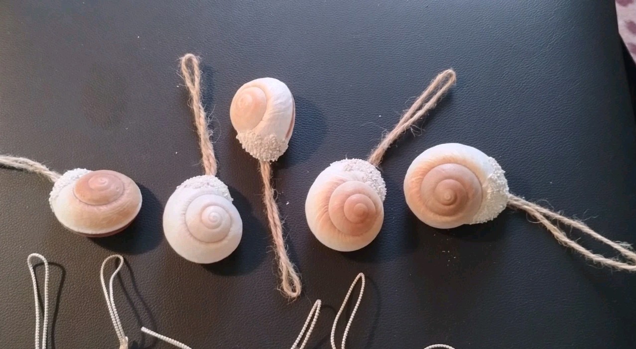 Sealife 12 Dried Starfish 5 Snail Seashell Hanging Ornament 17 Lot Natural Color