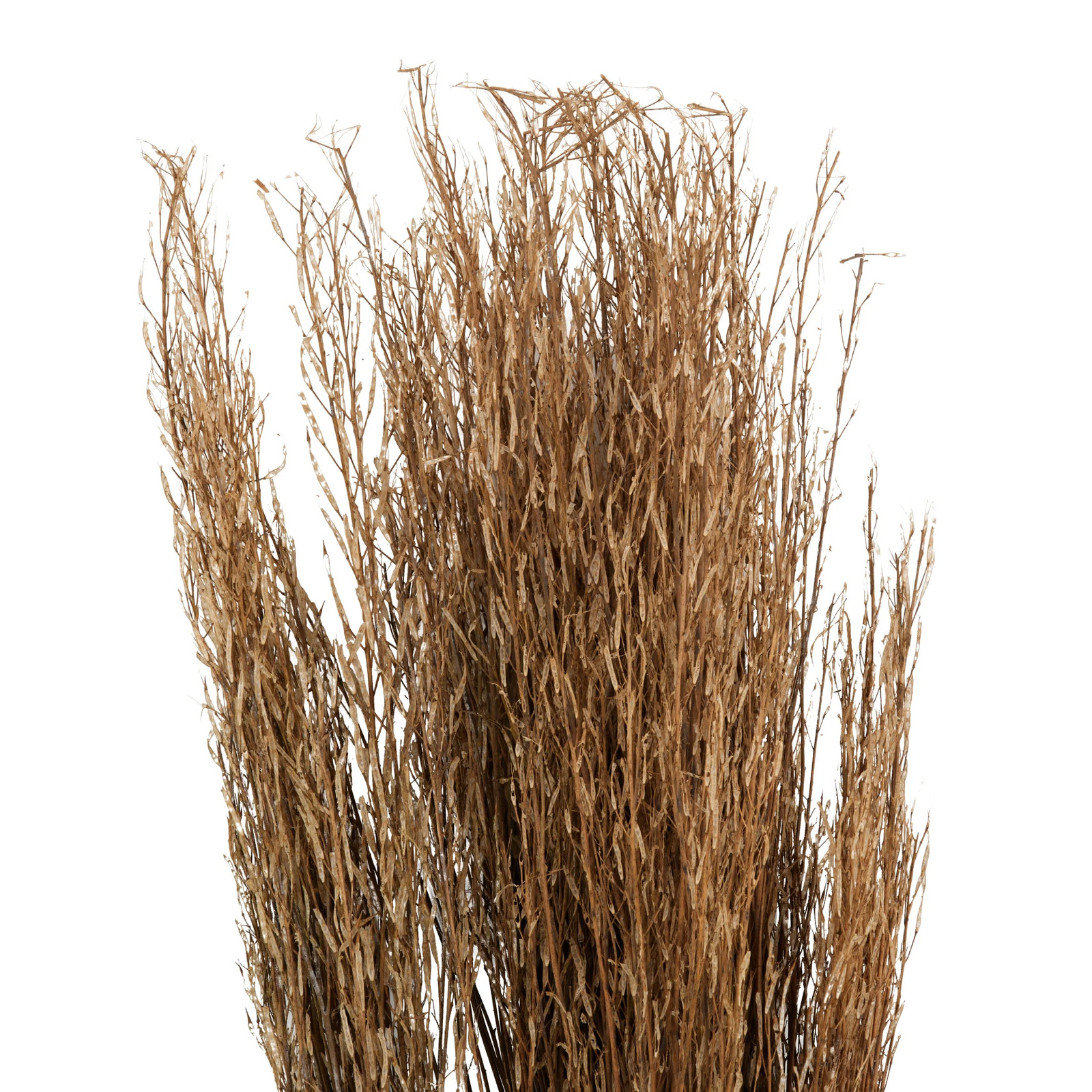 42″ Tall Sticks Dried Plant Natural Foliage Bouquet with Grass,