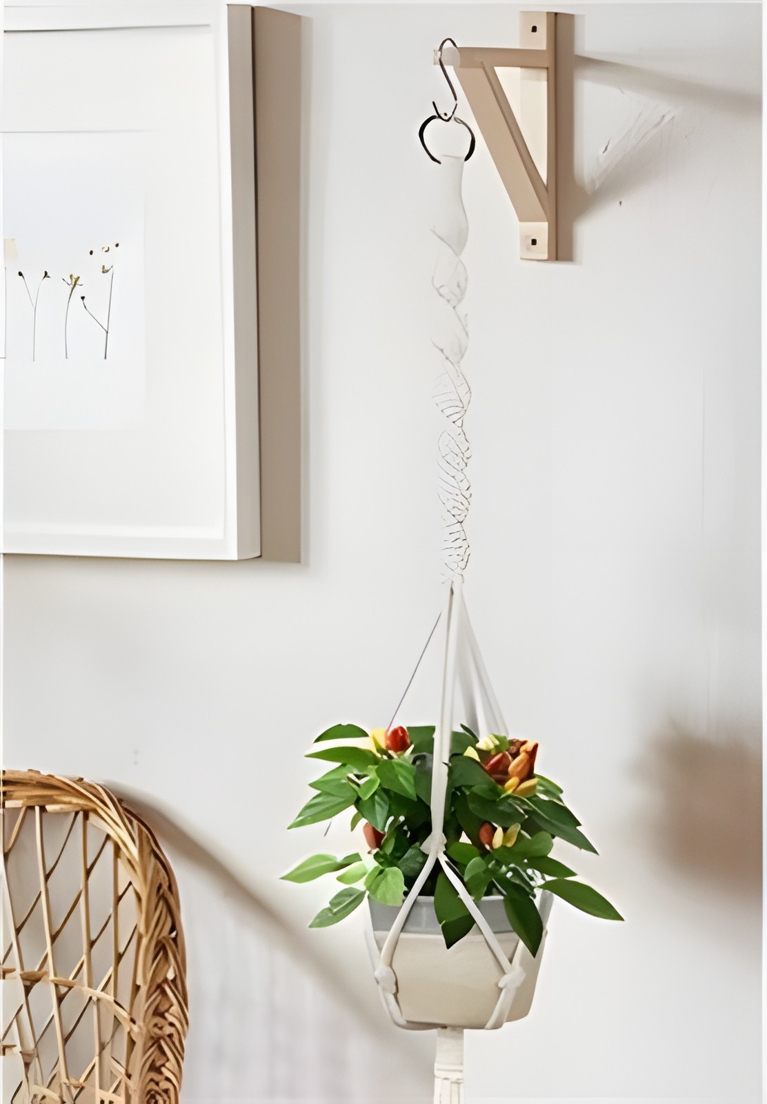 Macrame Plant Hanger 3 Pack with Hooks – Cotton Rope Hanging Planters