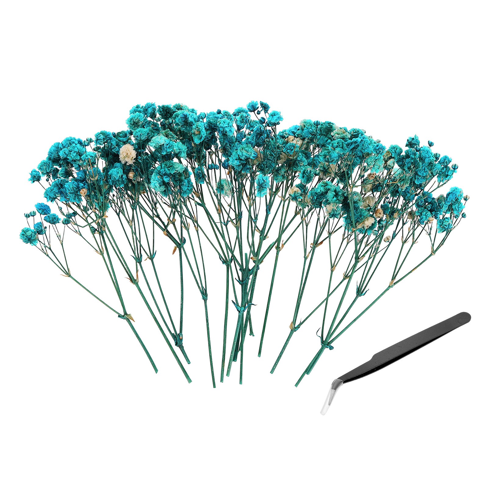 30 Pcs 4″ Dried Gypsophila Flower Mist Blue Pressed Flowers w Tweezer for DIY