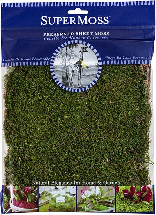 SuperMoss Preserved Sheet Moss 2oz (2 Pack) Green Craft Terrarium Moss