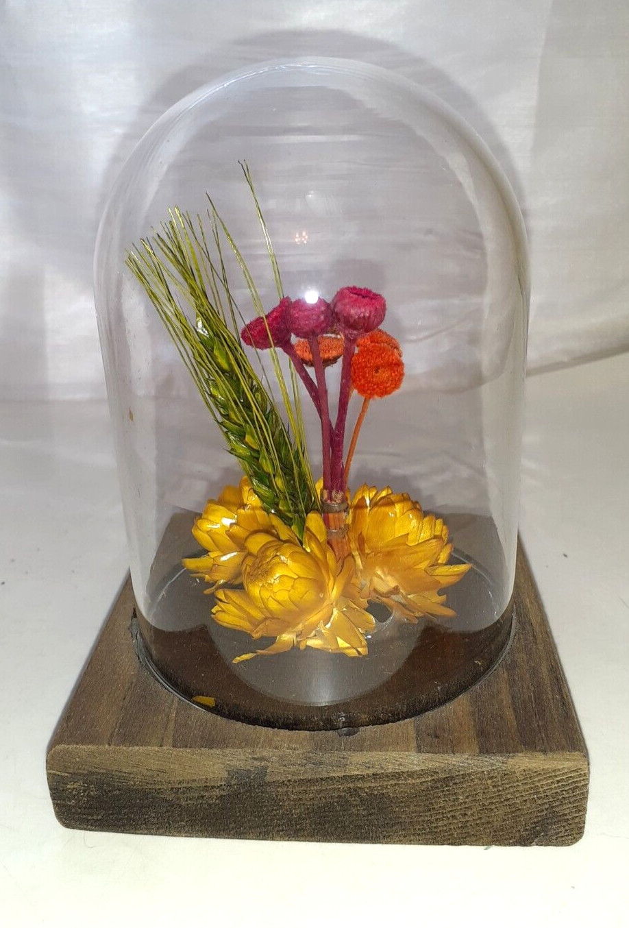 Leonard Creations Dried Cloched Flower Bouquet On Wood Base
