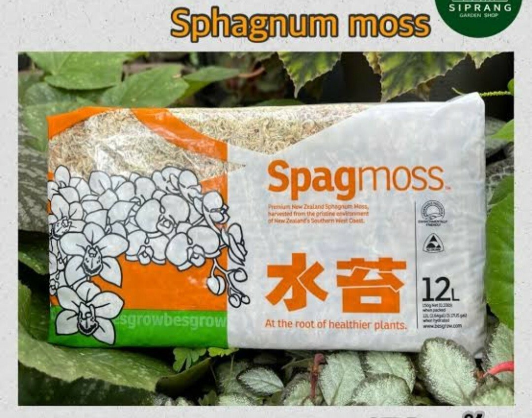 Sphagnum Moss Nursery Orchid Plant New Zealand Besegrow Long Fiber Decorationx 6