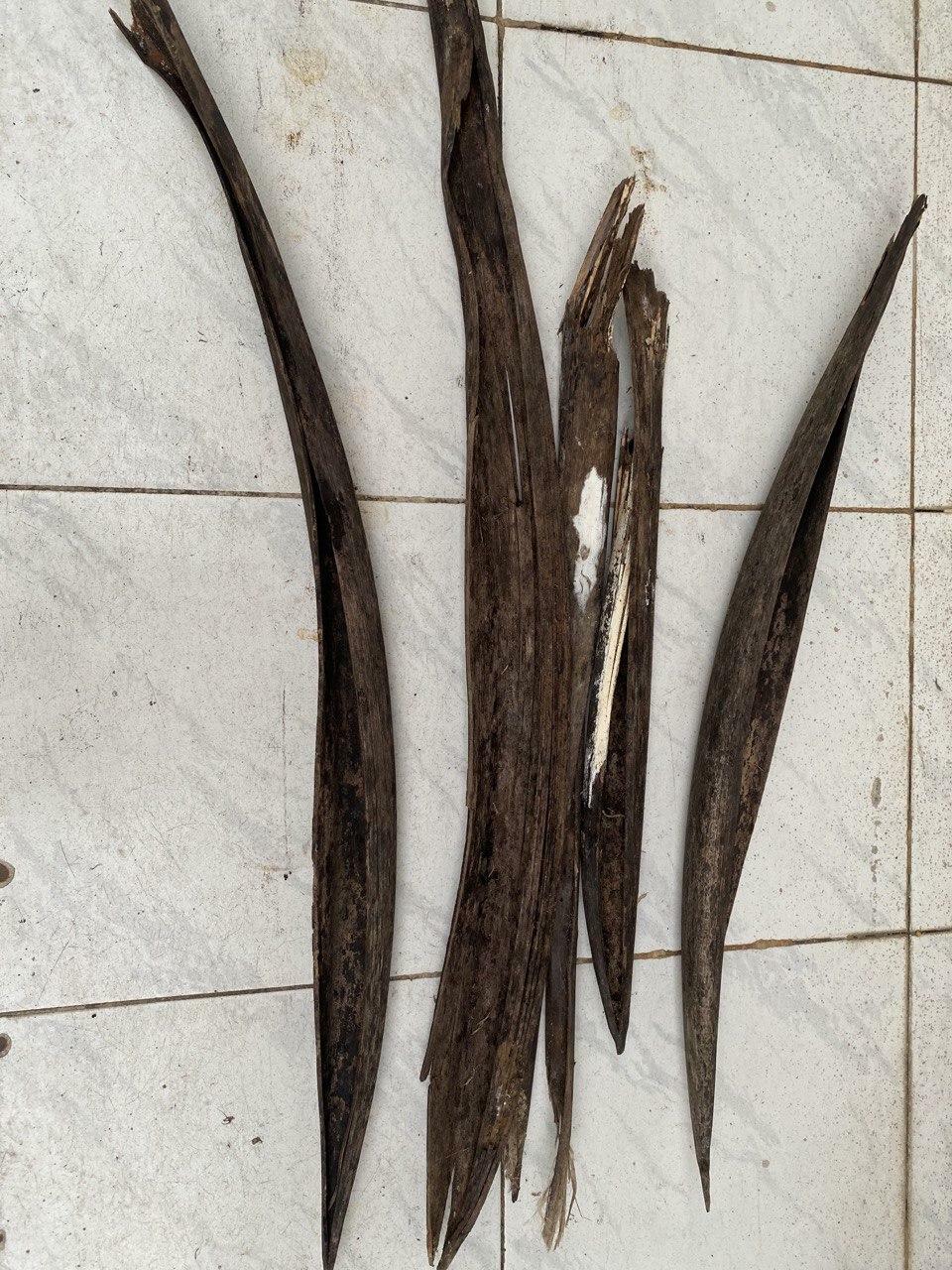 Coconut Tree Dried Spathe Diy Home Deco’s 100 Pure Organic Craft Item