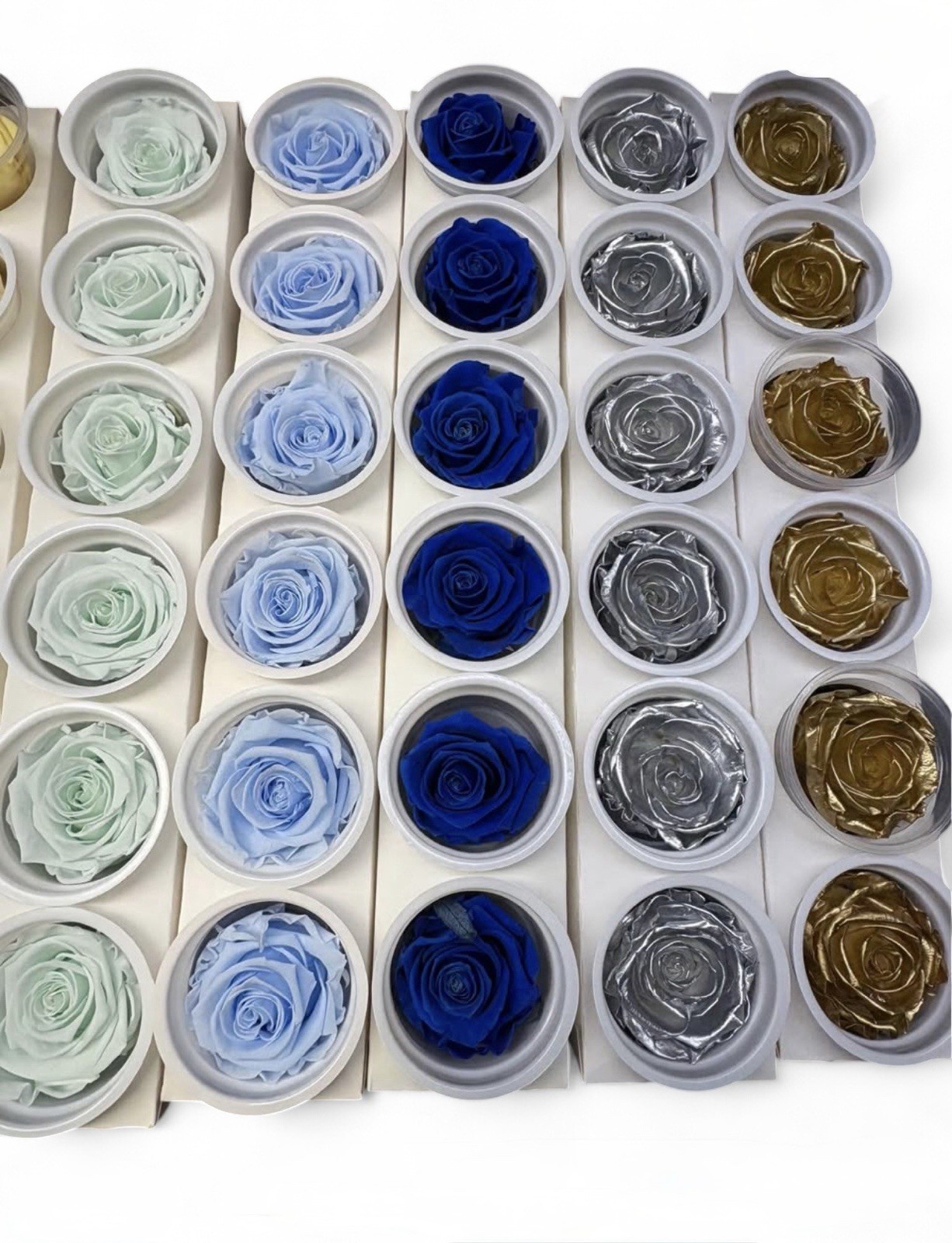 Eternal Roses Pack of 6 Brand New Multiple Colors Florist Event Decor