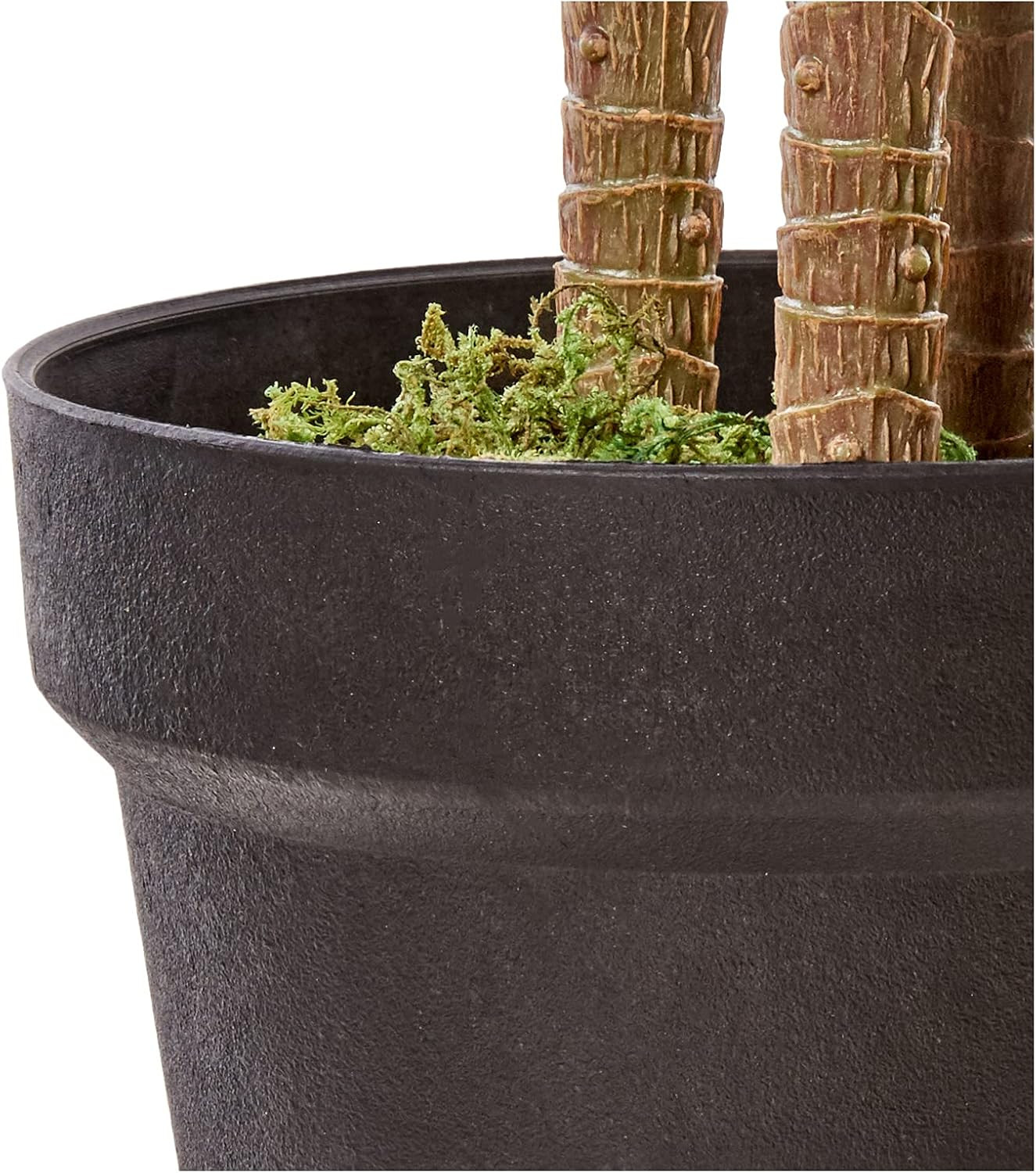 6Ft. Dracaena Silk Plant (Real Touch)