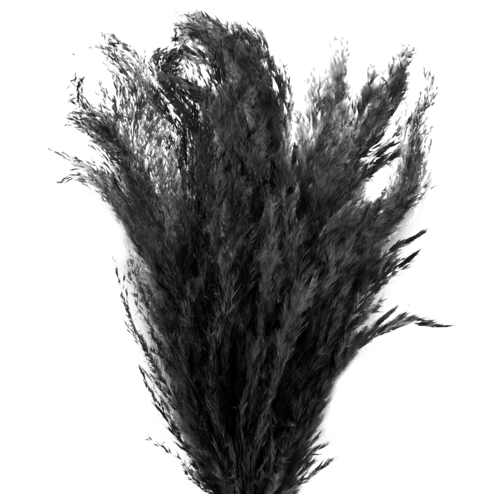 10-Pack Faux Pampas Grass 18 Inch for Home Decor/Wedding [Black]
