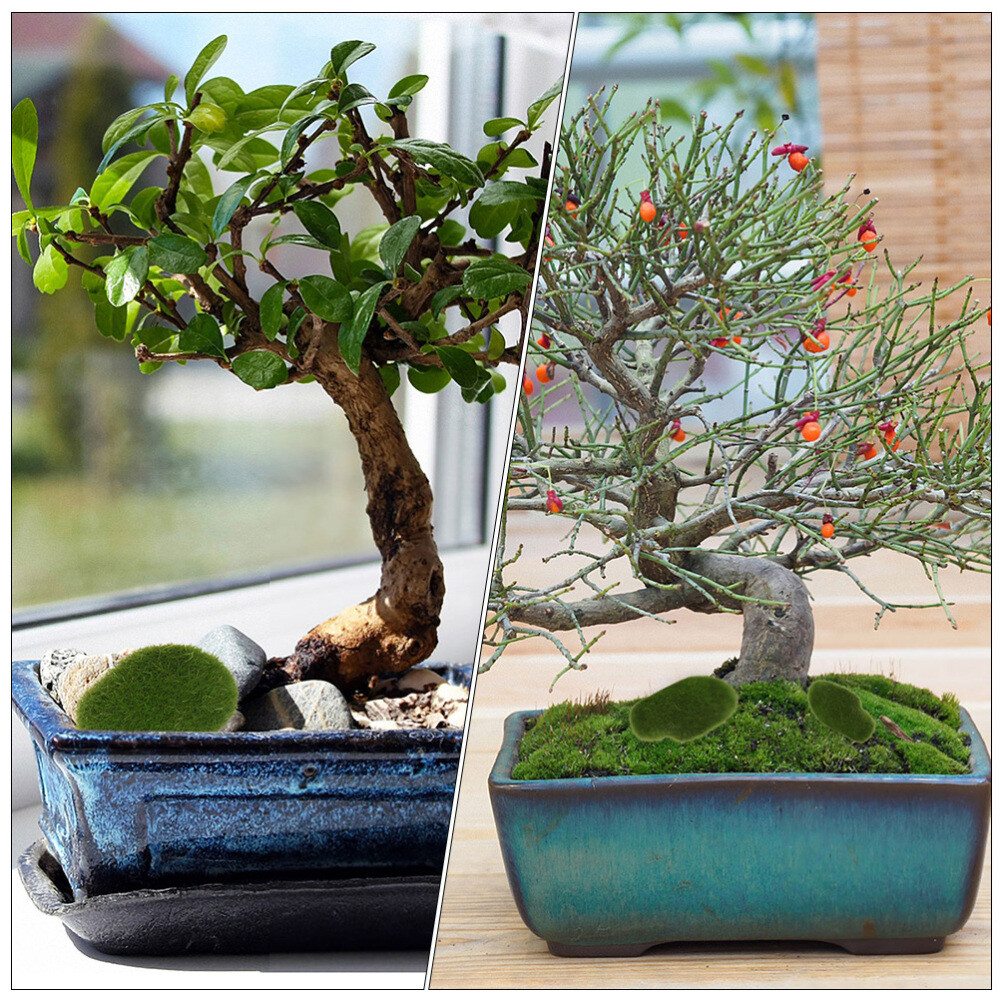 24 Pcs Moss Planter Artificial Stone Foam Stones Micro Landscape Decoration