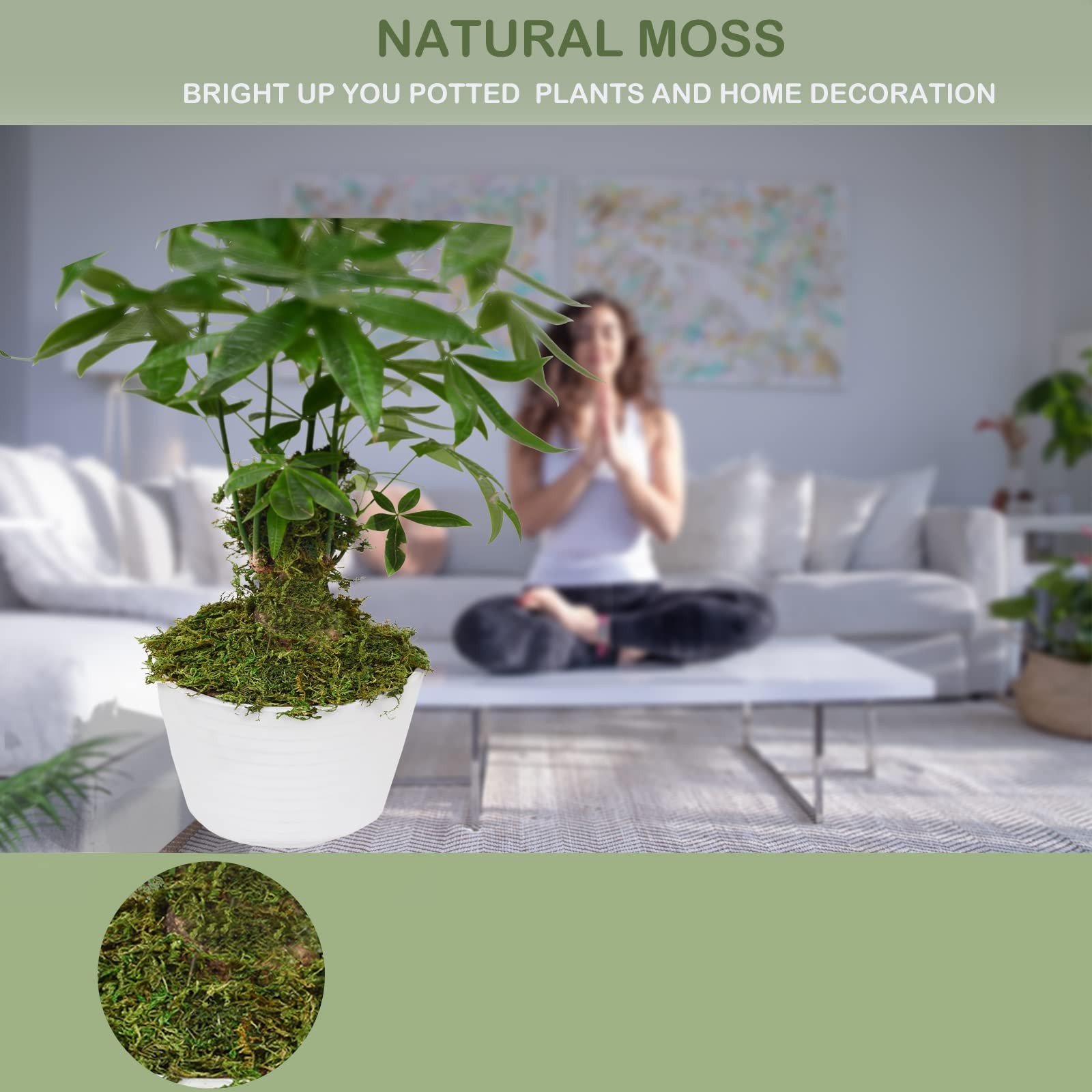 Fake Moss Artificial Moss for Potted Plants Greenery Moss(4OZ) Home Decor Fai…