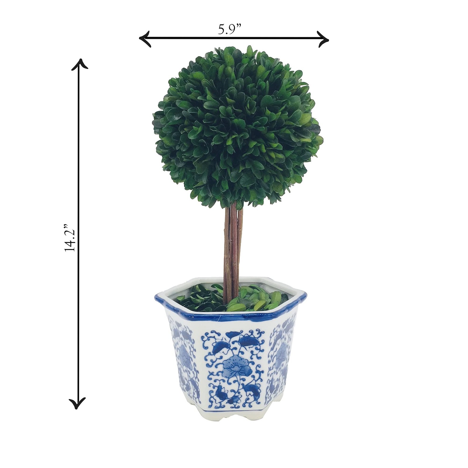 Preserved Boxwood Topiary Tree in Blue & White Ceramic Pot – Plant and Table …