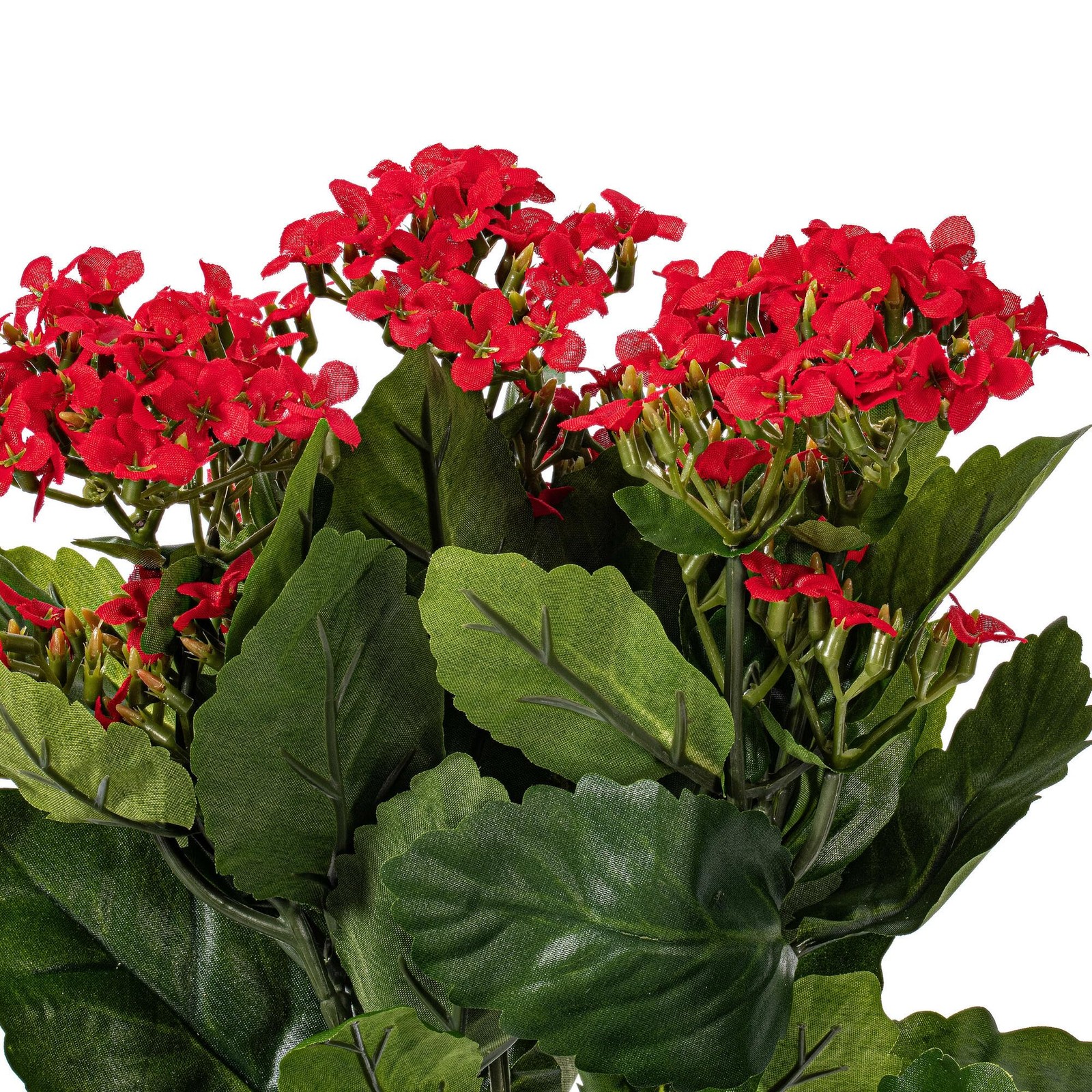 Vickerman 17.25″ Contemporary Fabric Artificial Kalanchoe Bush in Red
