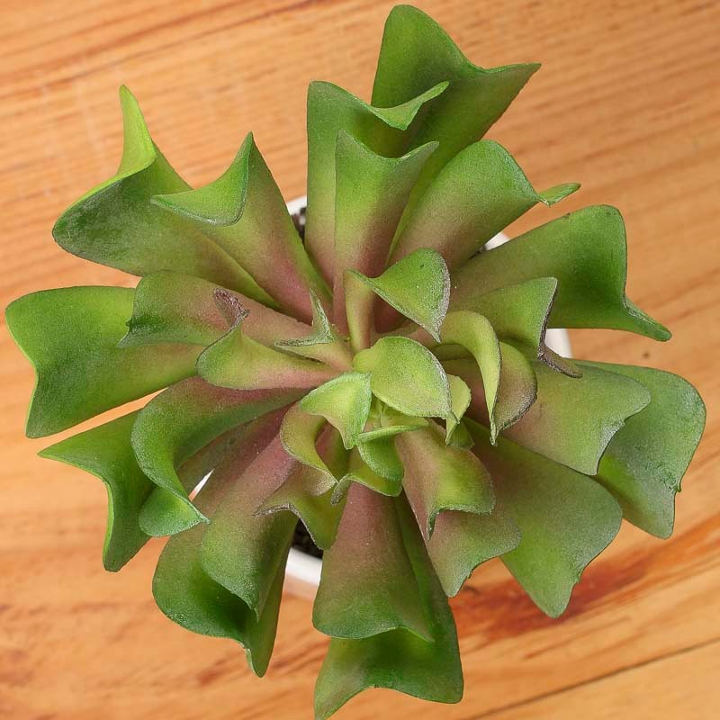 Set of 2 Artificial Indoor/Outdoor Succulent 6-1/2″ Picks