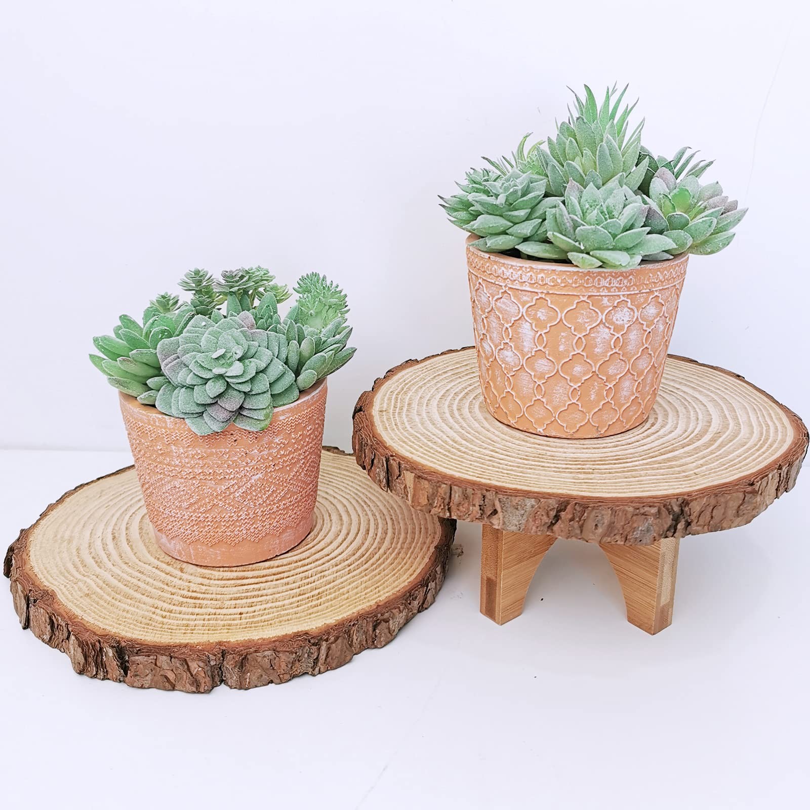 Realistic Flocked Artificial Succulents Mini Fake Plants for Garden Craft