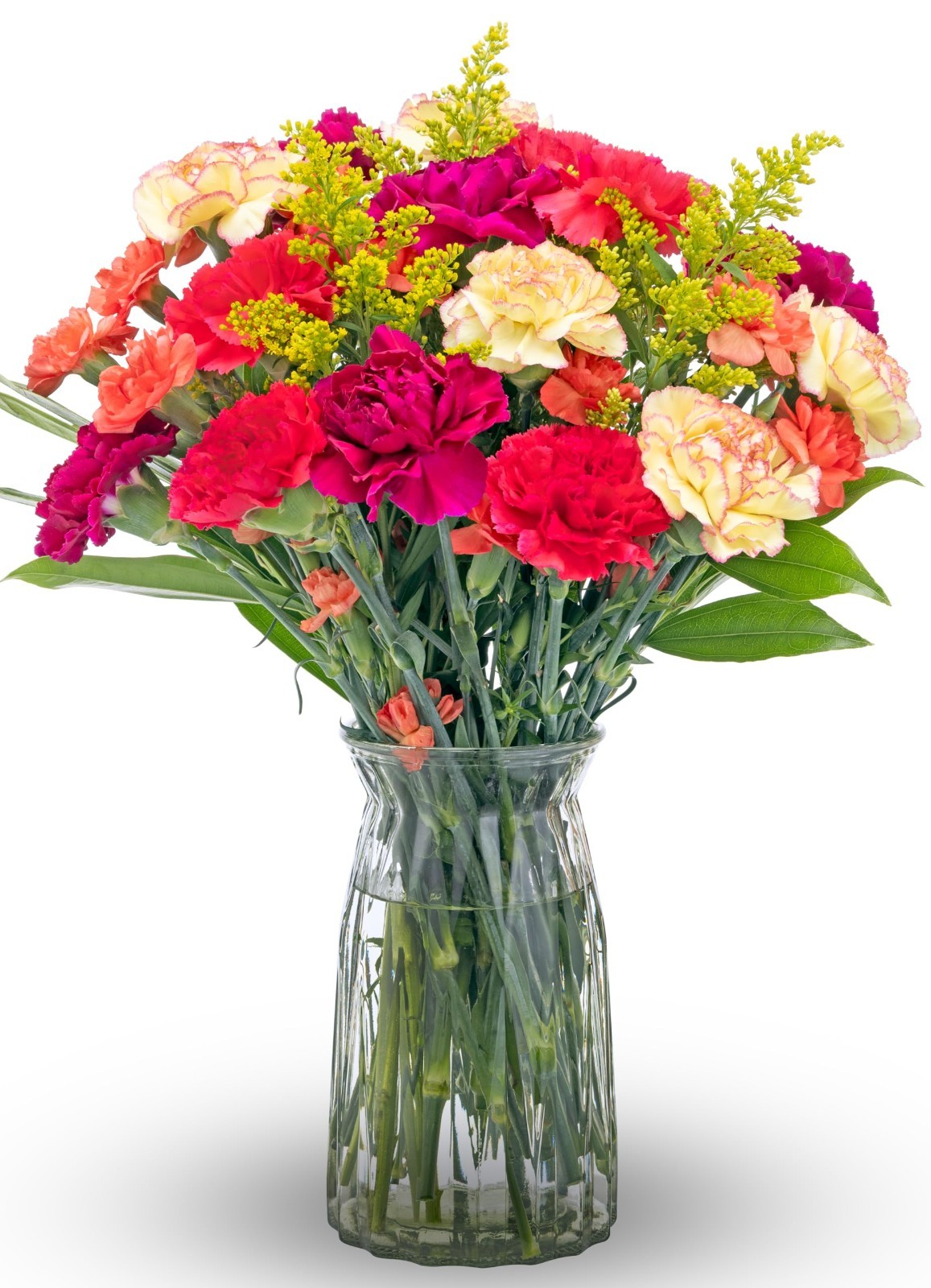 Vibrant Carnation Flower Bouquet – Graduation & Birthday Gift – Fresh Cut Floral