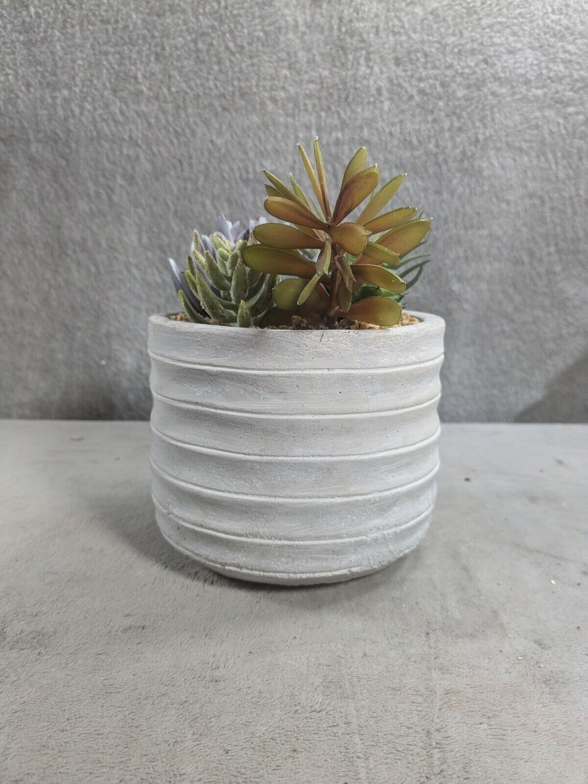 6.5” Vibrant Assorted Artificial Succulent Plants in Rustic Textured Pulp Pot