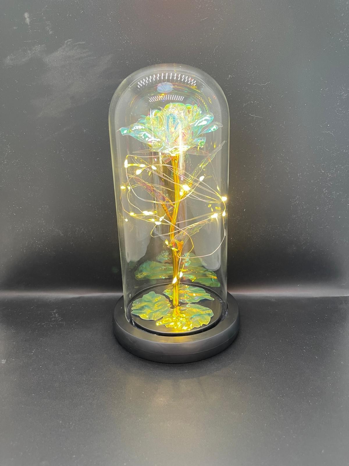 Eternal rose in a transparent dome with LED light. Valentine’s Day Gift