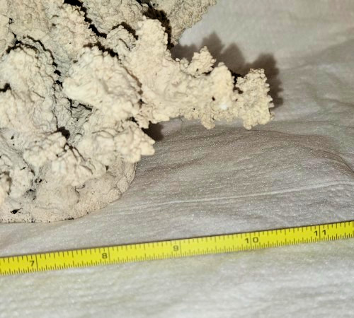 Large Faux Coral Decor Centerpiece – Heavy 4lb Cast Stone – Coastal Home Decor