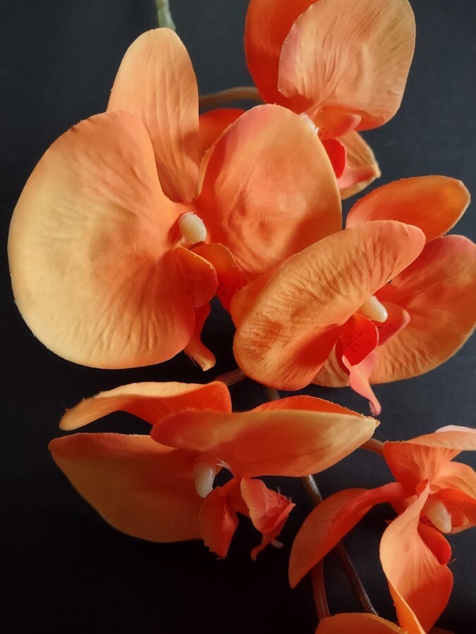 Artificial Phalaenopsis Orchid flower stem ORANGE