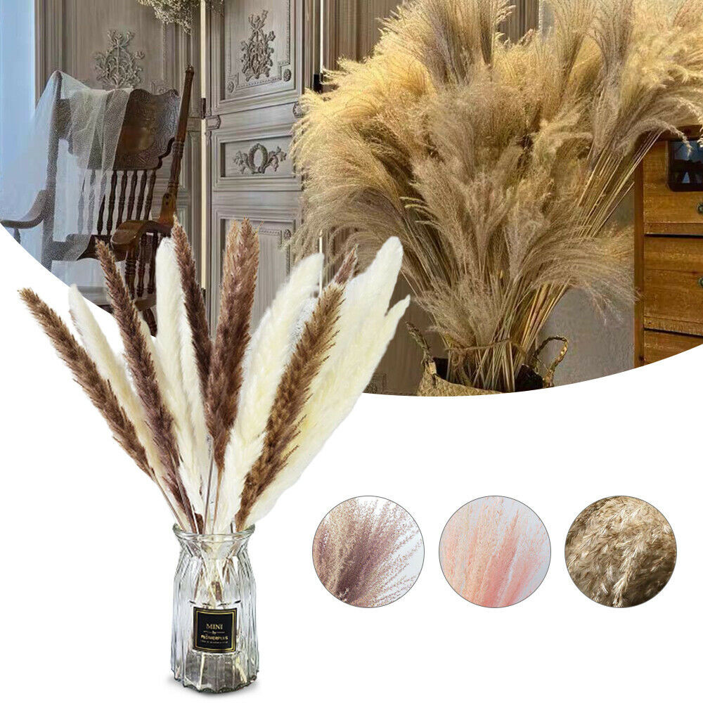 60PCS Natural Dried Pampas Grass Reed Flower Bunch Bouquets Home Wedding Decor
