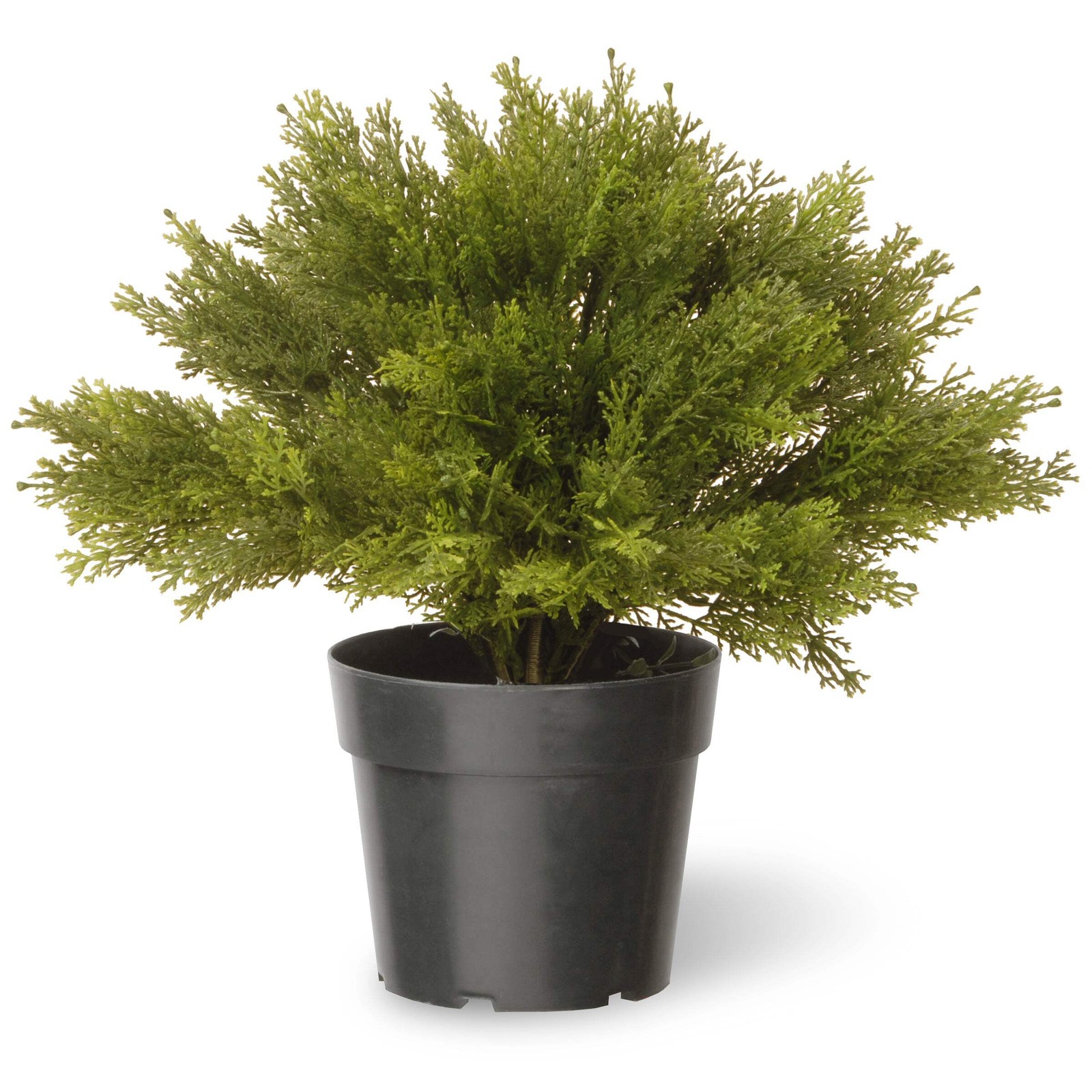 15 in. Globe Cedar Tree