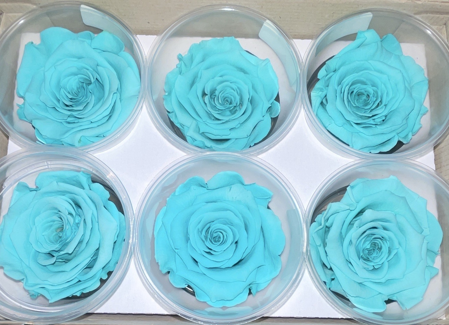 RoseAmor Preserved Rose Flower Heads Gift Boxes Blue, Light Blue, Orange, White