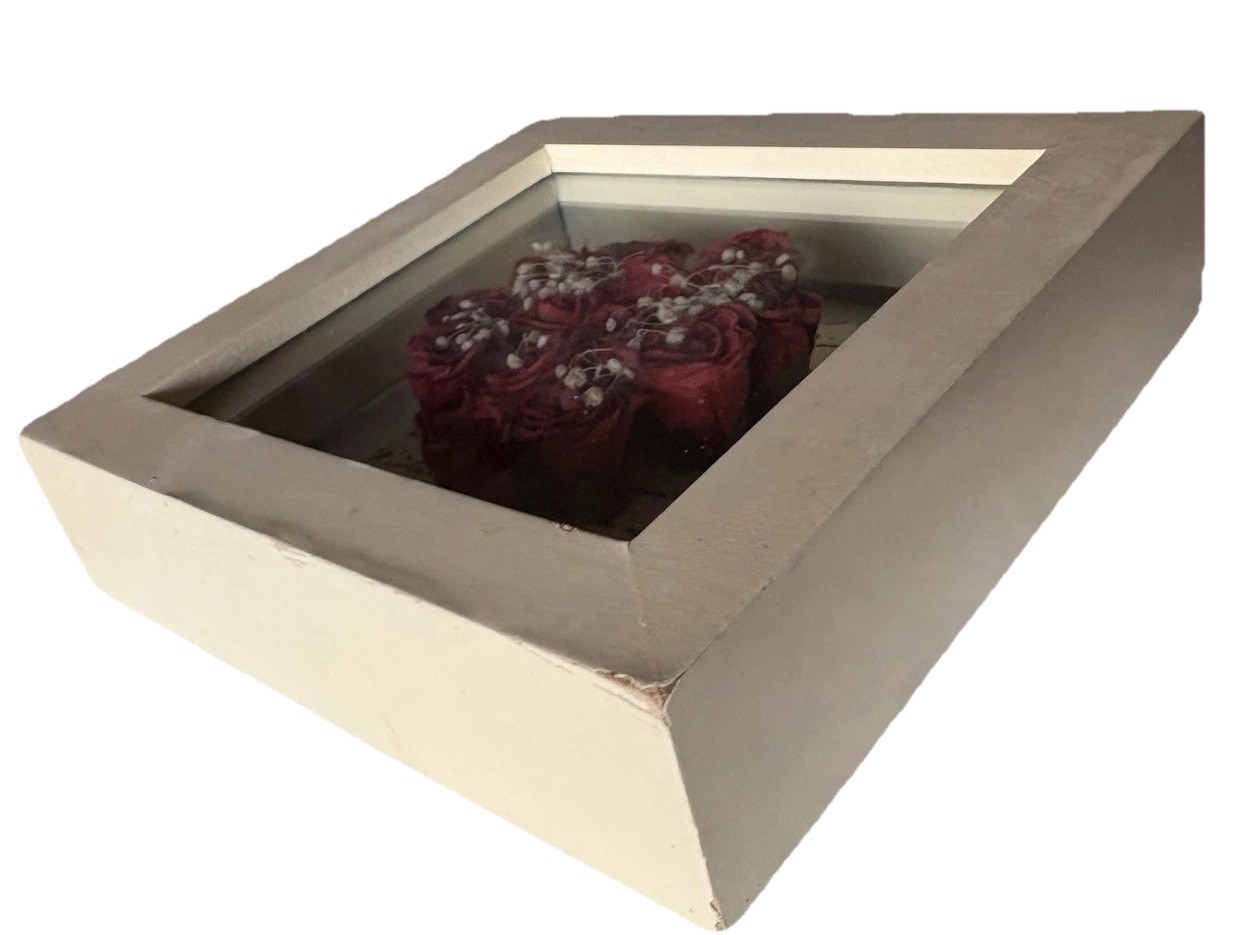4.75” Preserved Red Roses w/ Newspaper Backing – Flower White Framed Shadow Box