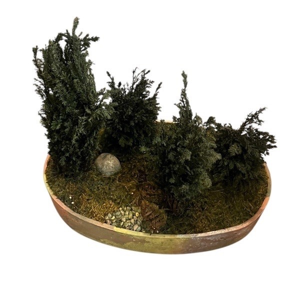 FOREVER GREEN ART Potted Quartet Mini Cypress Tree In Oval Terra Cotta Planter