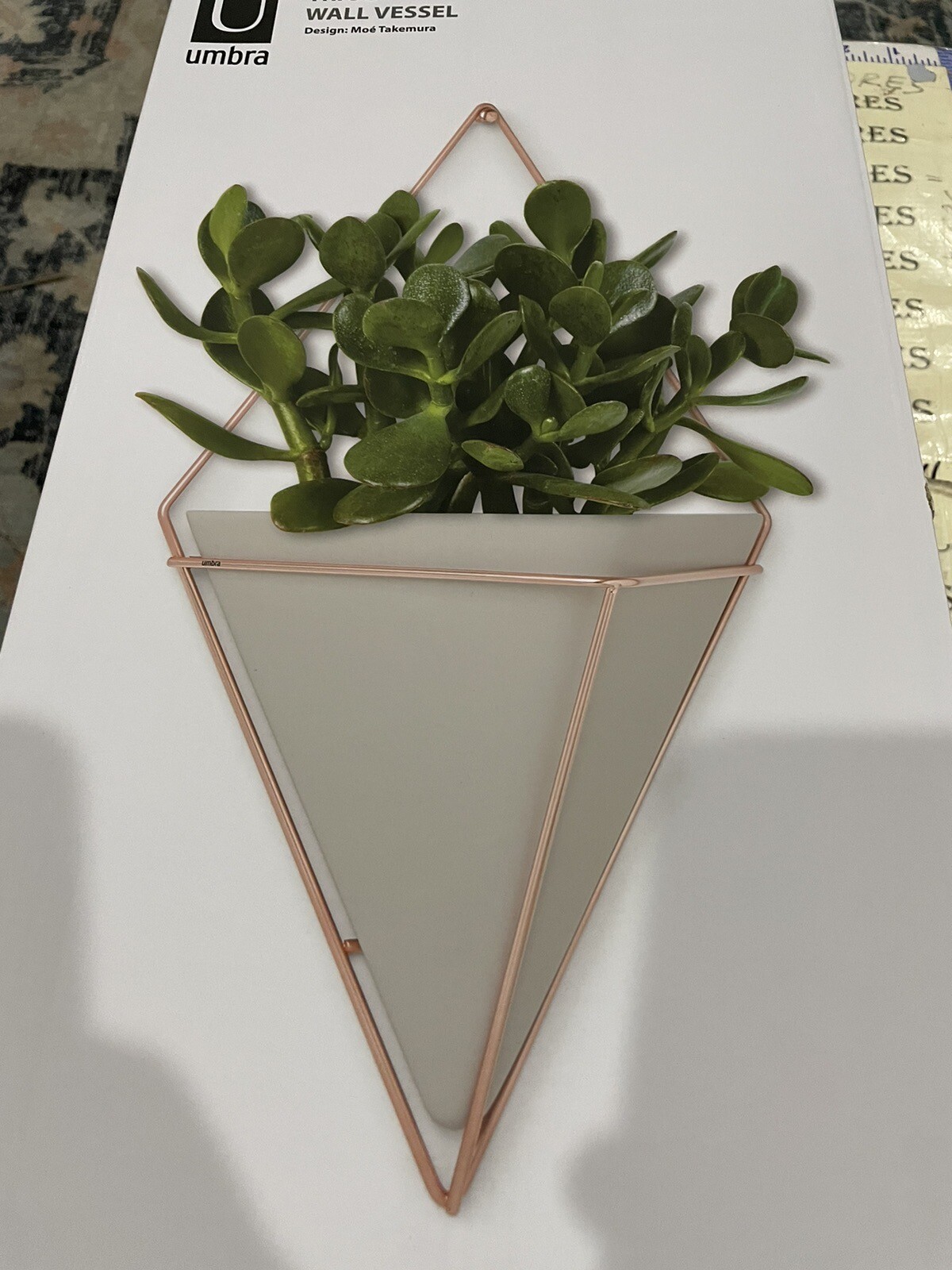 3X Trigg Hanging Planter Vase Umbra Geometric Large Concrete Resin Copper