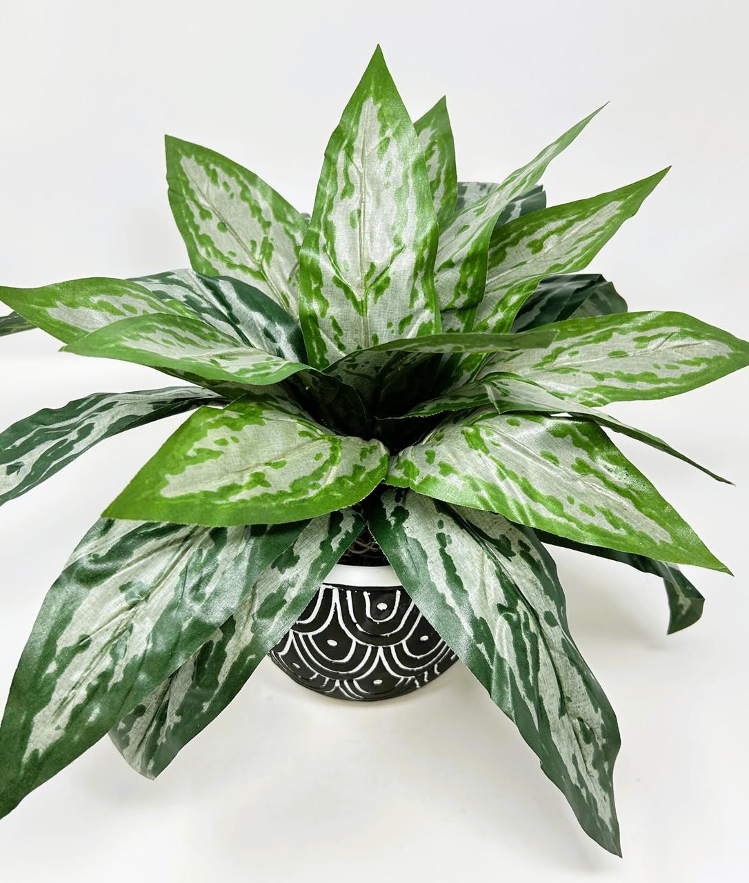 Silk Silver King SWORD plant in Black Ceramic Pot, handmade original by Lower Fo