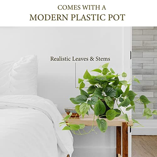 Artificial Scindapsus Aureus Fake Pothos Plants in Black Pots – Pothos-a