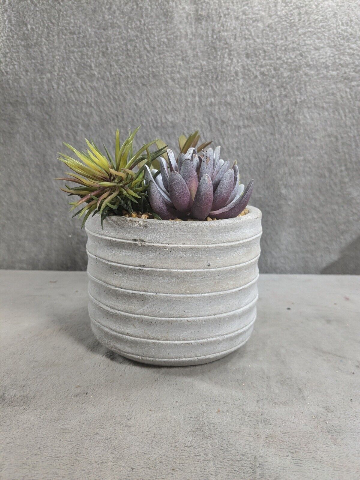 6.5” Vibrant Assorted Artificial Succulent Plants in Rustic Textured Pulp Pot