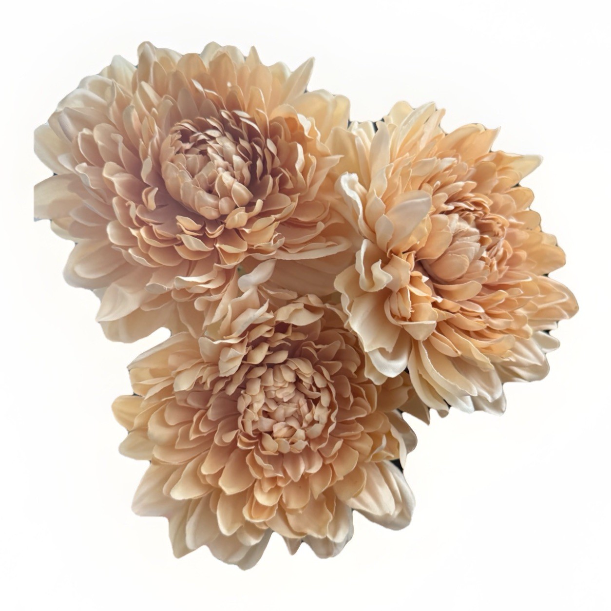 Three Target Hearth And Hand Faux Stem Beige Mum NEW With Tags
