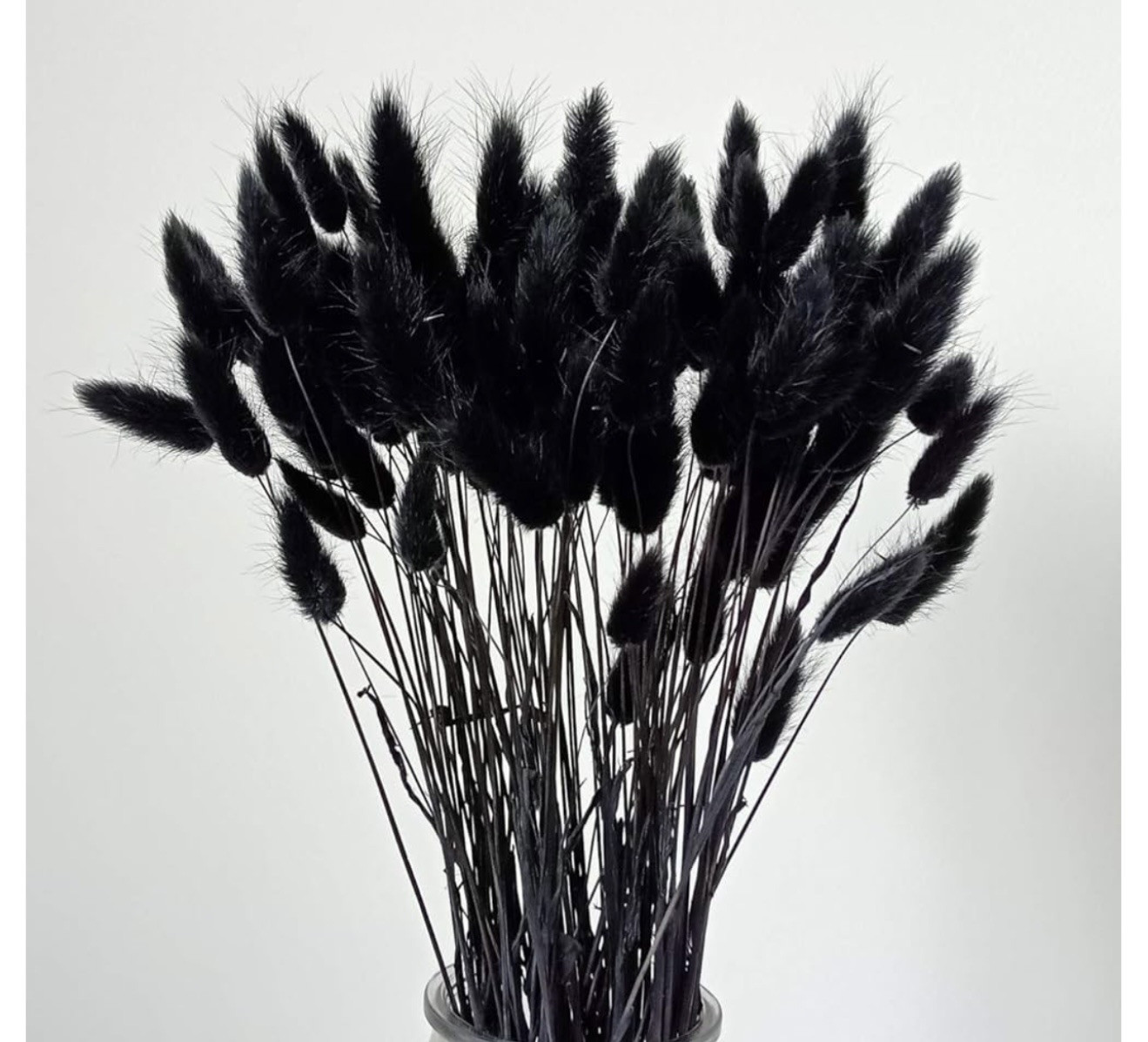 110 Pcs Bunny Tails Dried Flowers, Natural Dried Bunny Tails 110 Pcs Black