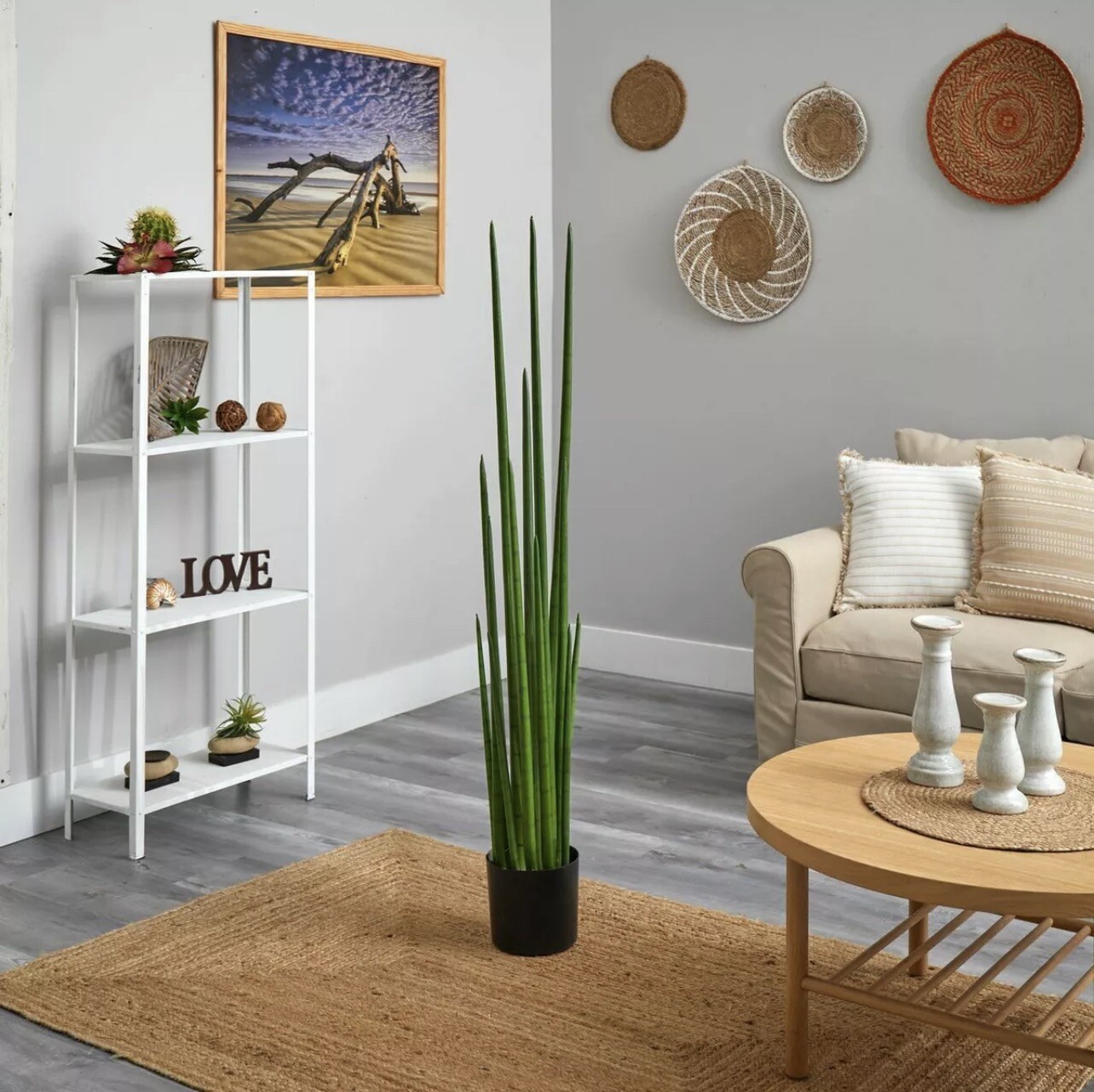 5′ Sansevieria Snake Artificial Plant (Real touch) Home Decor. Retail $303