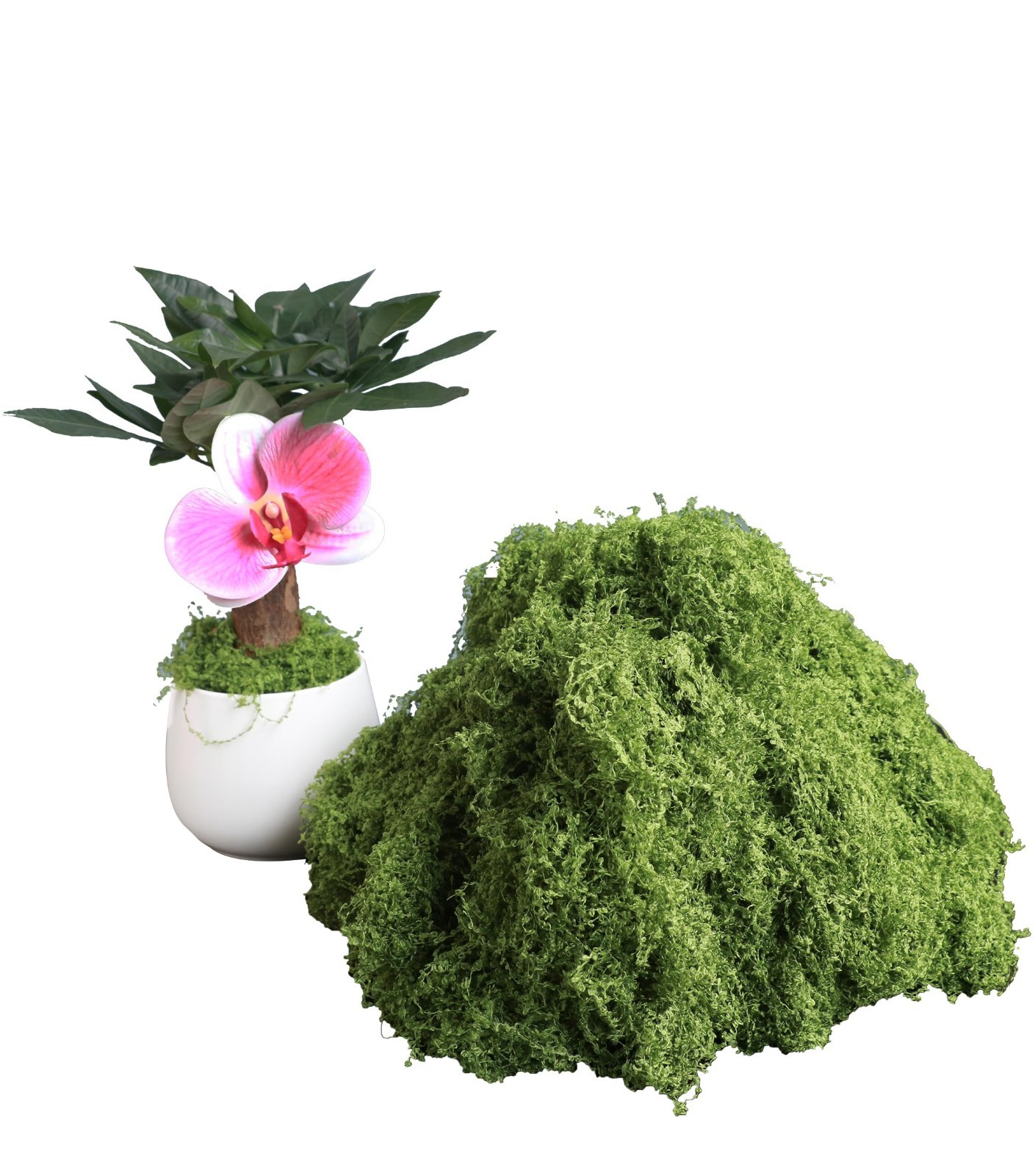 5.3oz Green Fake Moss Artificial Floral Moss Faux Plant for DIY Crafts Fairy Gar