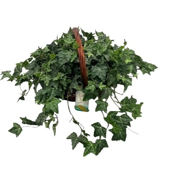 Set Of 2 Gold Leaf Collection Silk Artificial English Ivy Basket