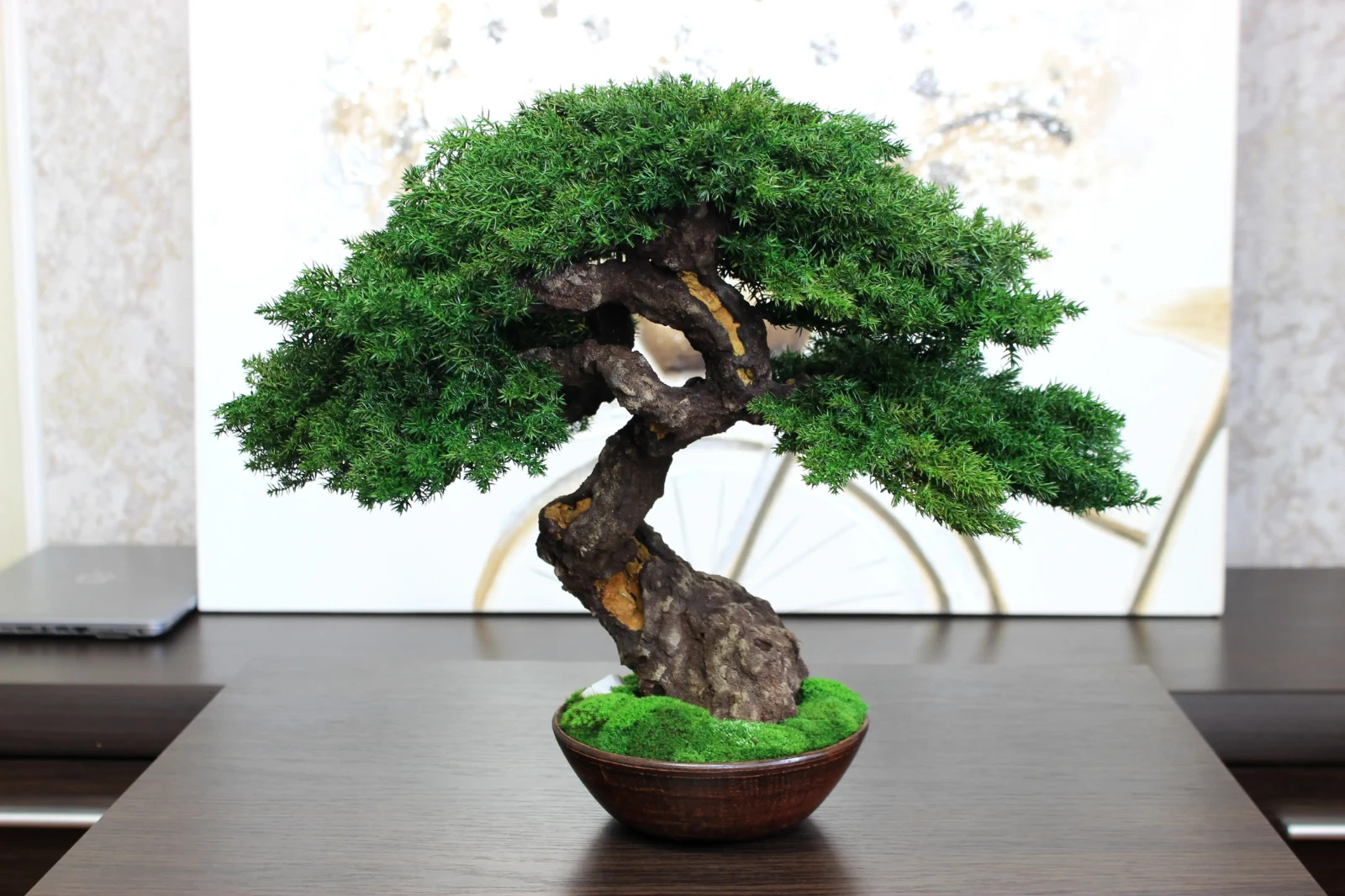 Exclusive Preserved Juniper Bonsai – Interior Art Sculpture. 37 cm / 14,6″