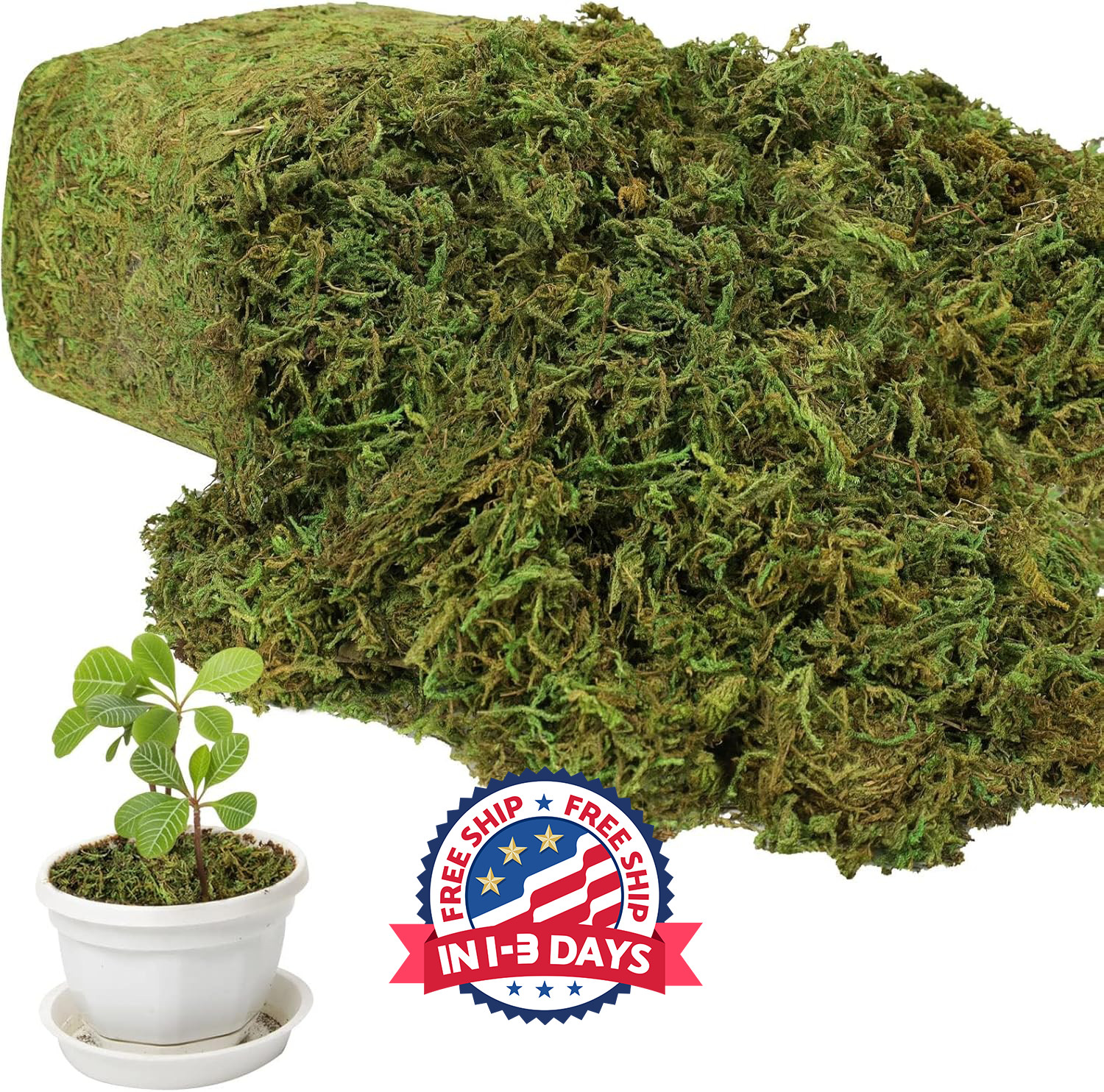 Musgo artificial de gran capacidad de 17.6 oz para plantas en maceta, césped.neu