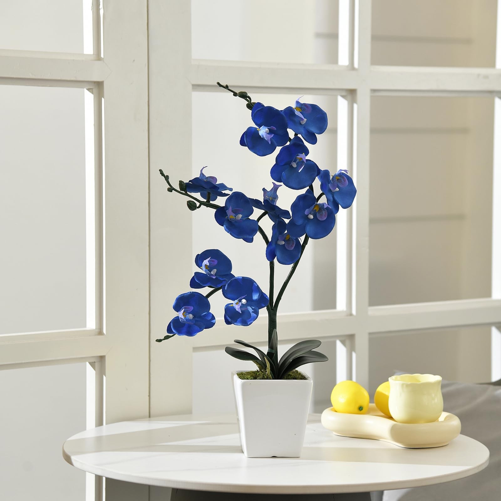 Artificial Silk Phalaenopsis Orchid Flower Plant Pot Navy Blue 15 Inch